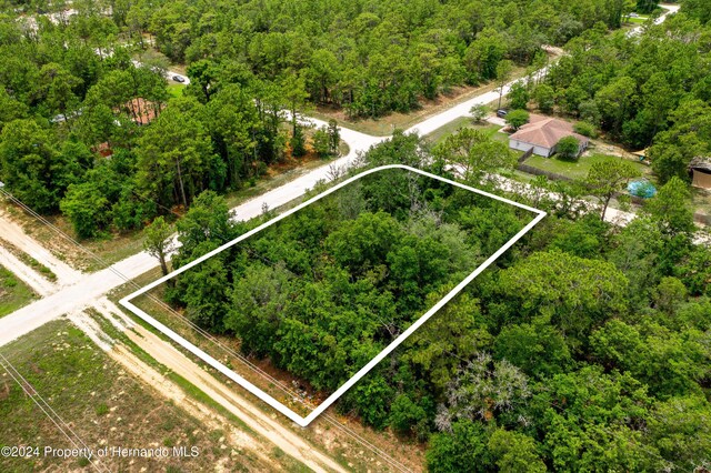 13500 Downy Woodpecker Rd, Weeki Wachee, FL 34614