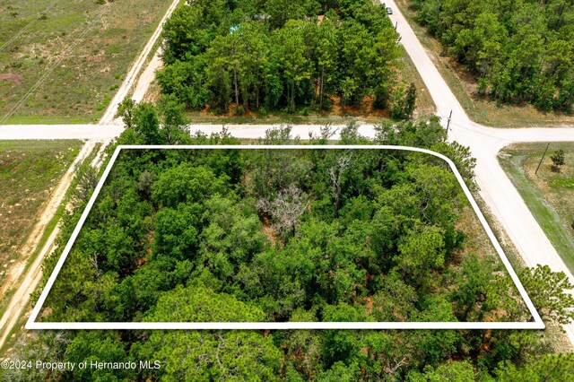13500 Downy Woodpecker Rd, Weeki Wachee, FL 34614