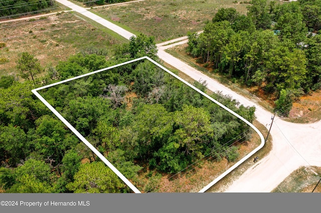 13500 Downy Woodpecker Rd, Weeki Wachee, FL 34614