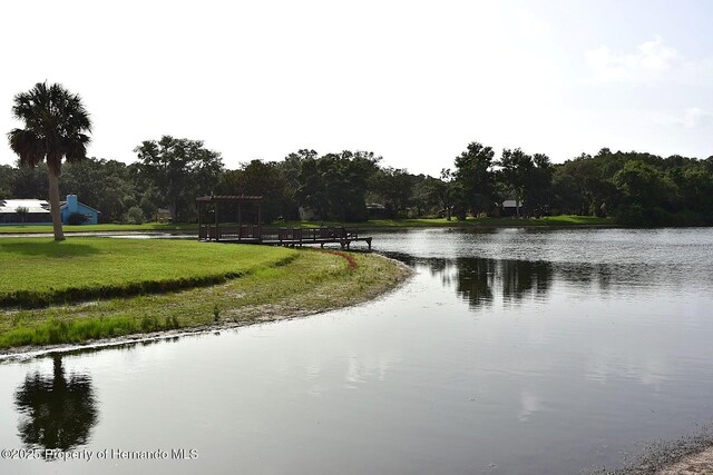 4269 River Birch Dr, Weeki Wachee, FL 34607 - photo 8