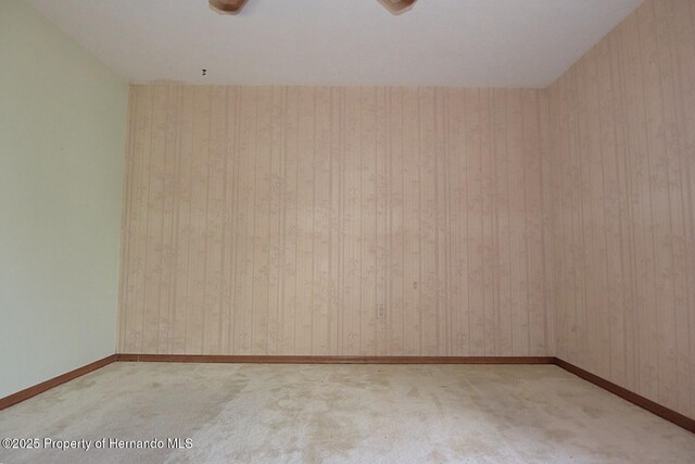 4269 River Birch Dr, Weeki Wachee, FL 34607 - photo 40