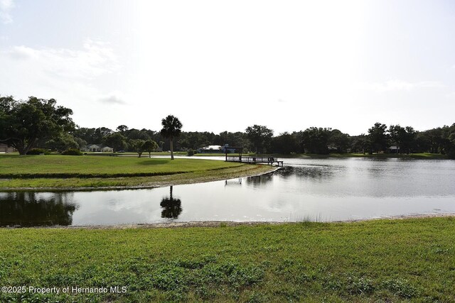4269 River Birch Dr, Weeki Wachee, FL 34607 - photo 60