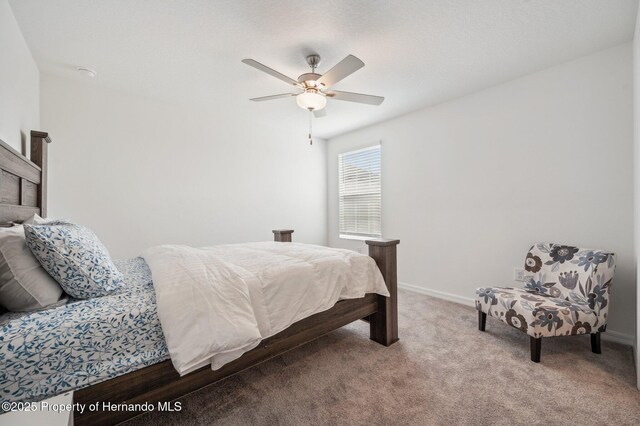 71 Rose Bud Ln, Spring Hill, FL 34609 - photo 14