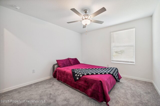 71 Rose Bud Ln, Spring Hill, FL 34609 - photo 17