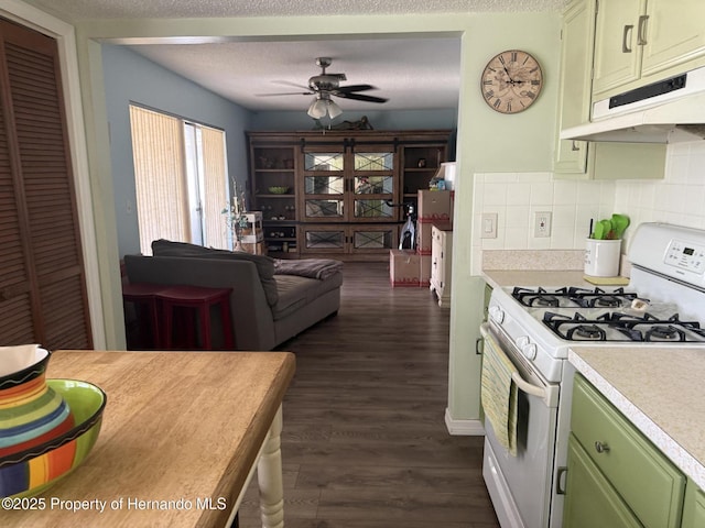 11087 Addison St, Spring Hill, FL 34609 - kitchen featuring white gas stove, green cabinets, under cabinet range hood, light countertops, and dark wood-type flooring