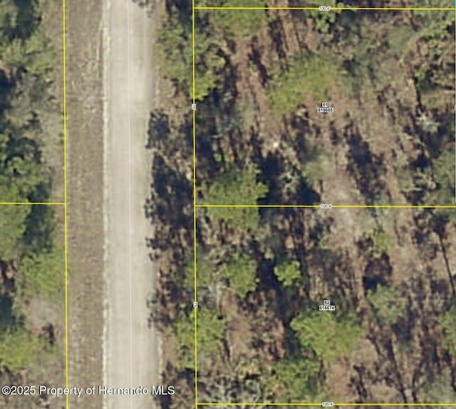 LOT61 Parakeet Rd, Weeki Wachee, FL 34614