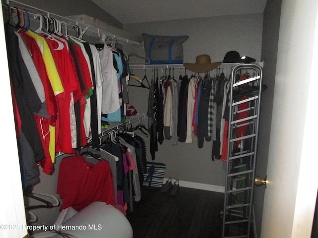 8423 Dickens Ave, Brooksville, FL 34613 - view of spacious closet