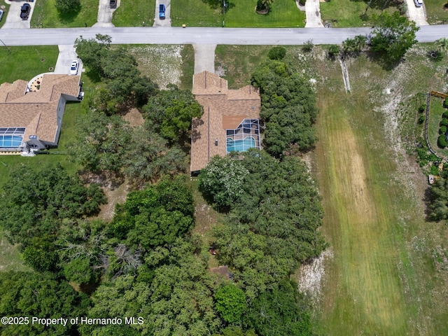204 Oak Lake Dr, Spring Hill, FL 34608 - aerial view of property's location