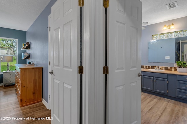 204 Oak Lake Dr, Spring Hill, FL 34608 - bathroom featuring wood finished floors, a textured ceiling, vanity, and backsplash