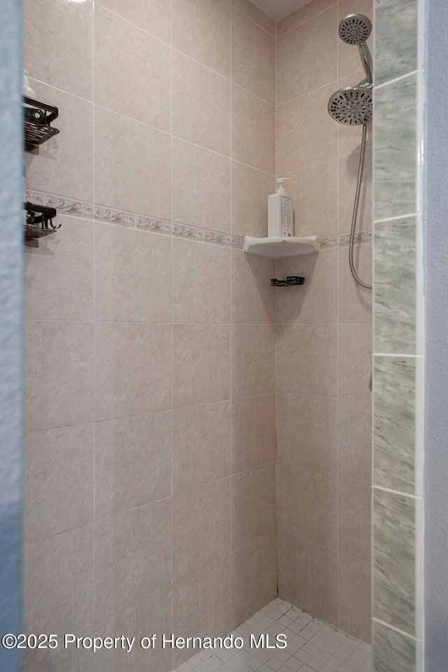 204 Oak Lake Dr, Spring Hill, FL 34608 - full bathroom with a tile shower