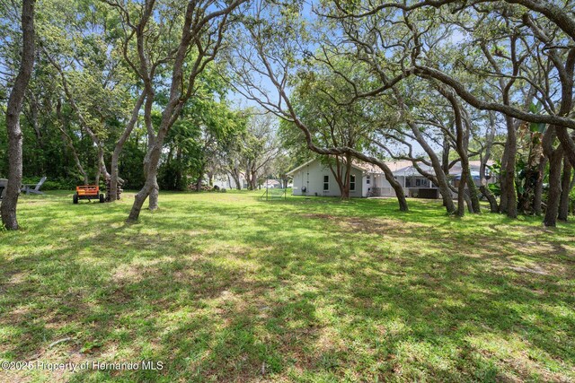 204 Oak Lake Dr, Spring Hill, FL 34608 - view of green lawn