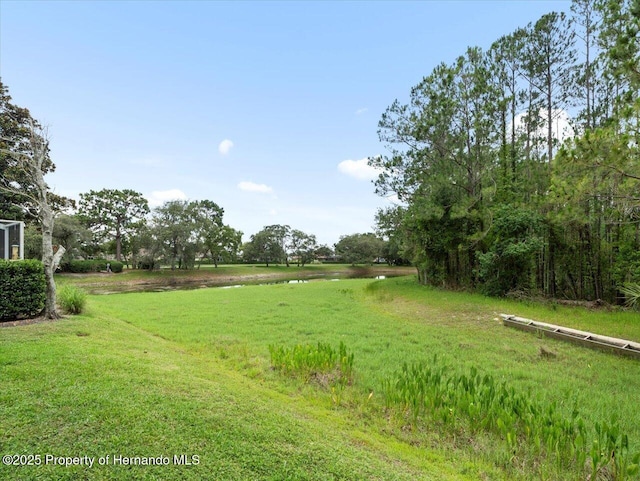 10097 Holly Berry Dr, Weeki Wachee, FL 34613 - photo 40