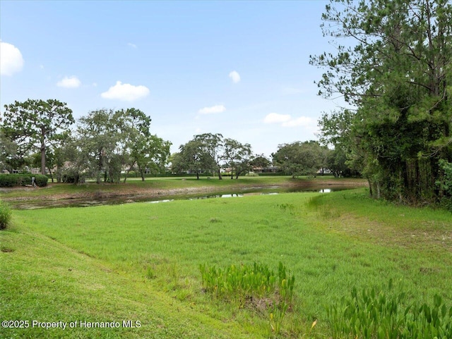 10097 Holly Berry Dr, Weeki Wachee, FL 34613 - photo 41