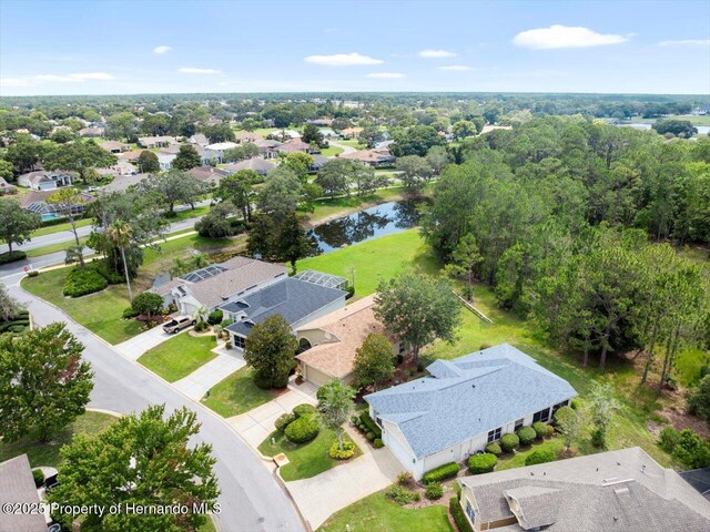 10097 Holly Berry Dr, Weeki Wachee, FL 34613 - photo 50