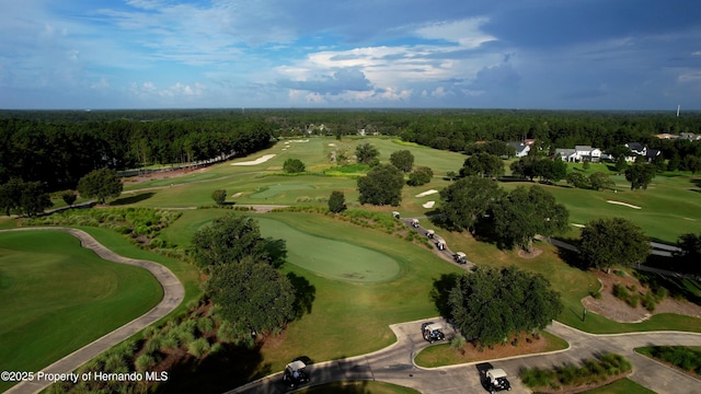 5018 Elm Leaf Dr, Brooksville, FL 34601 - aerial view of property and surrounding area with a golf course and a forest