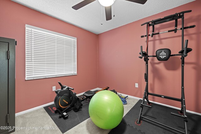 19555 Phillips Rd, Brooksville, FL 34604 - photo 33
