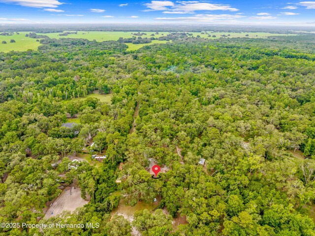 19555 Phillips Rd, Brooksville, FL 34604 - photo 59