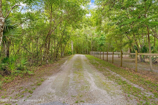 19555 Phillips Rd, Brooksville, FL 34604 - photo 42