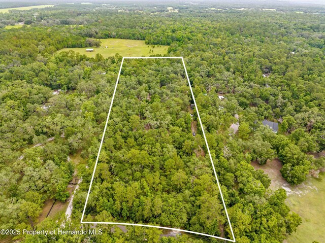 19555 Phillips Rd, Brooksville, FL 34604 - photo 58