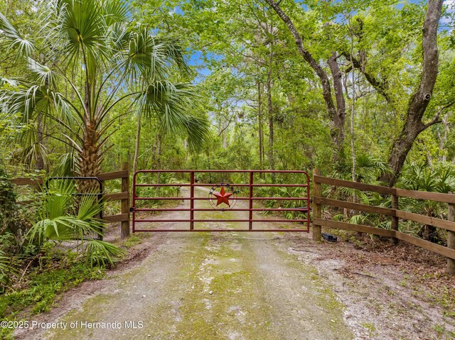 19555 Phillips Rd, Brooksville, FL 34604 - photo 41