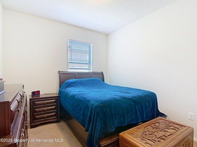 15682 Stone House Dr, Brooksville, FL 34604 - photo 23