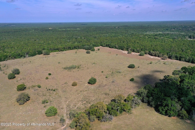 0 S Old Jones Rd, Floral City, FL 34436 - photo 3