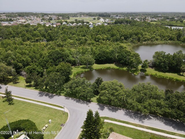 2801 Banner Stone Ct, Holiday, FL 34691 - photo 29
