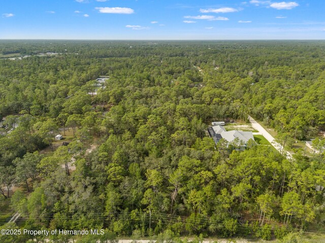 0 Birmingham Ave, Weeki Wachee, FL 34613