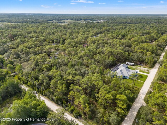 0 Birmingham Ave, Weeki Wachee, FL 34613