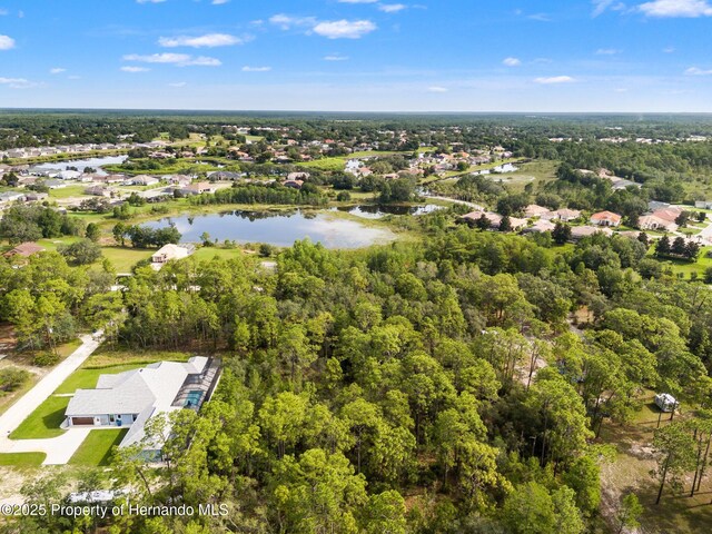 0 Birmingham Ave, Weeki Wachee, FL 34613