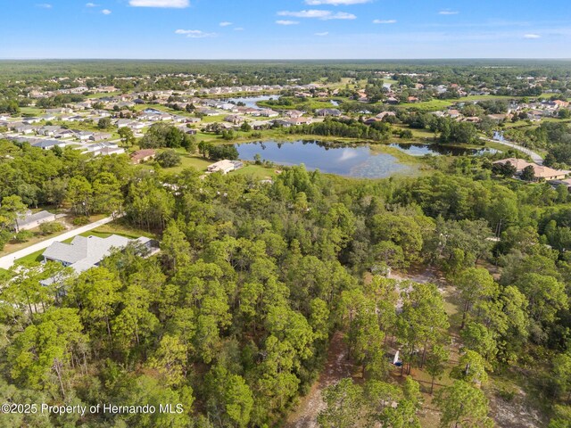 0 Birmingham Ave, Weeki Wachee, FL 34613