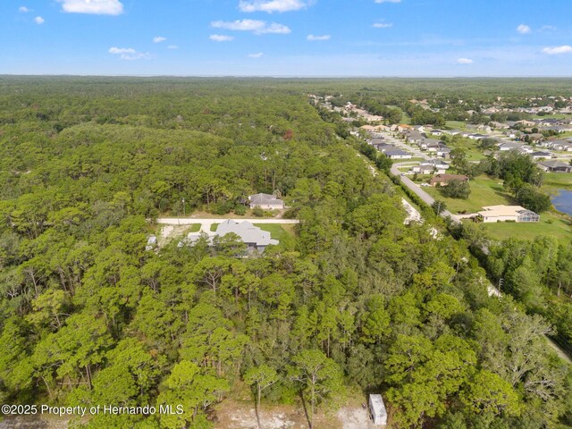 0 Birmingham Ave, Weeki Wachee, FL 34613