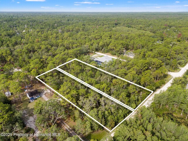 0 Birmingham Ave, Weeki Wachee, FL 34613