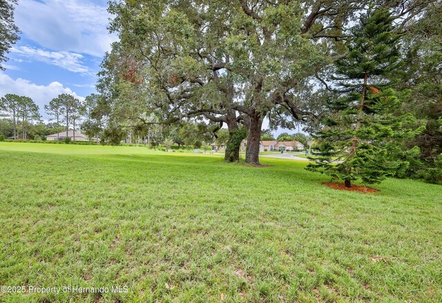 11330 Leeds Dr, Spring Hill, FL 34609 - photo 49
