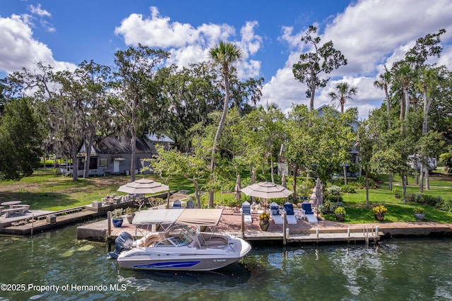 5233 Tuscawilla Dr, Weeki Wachee, FL 34607 - dock area with a water view, a yard, and view of scattered trees