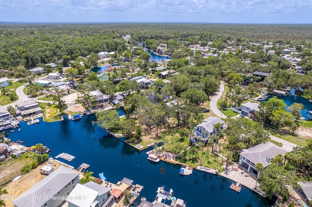 5233 Tuscawilla Dr, Weeki Wachee, FL 34607 - aerial view of residential area featuring a large body of water and a heavily wooded area
