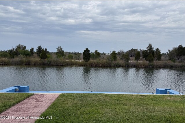 3468 Crape Myrtle Dr, Hernando Beach, FL 34607 - photo 15