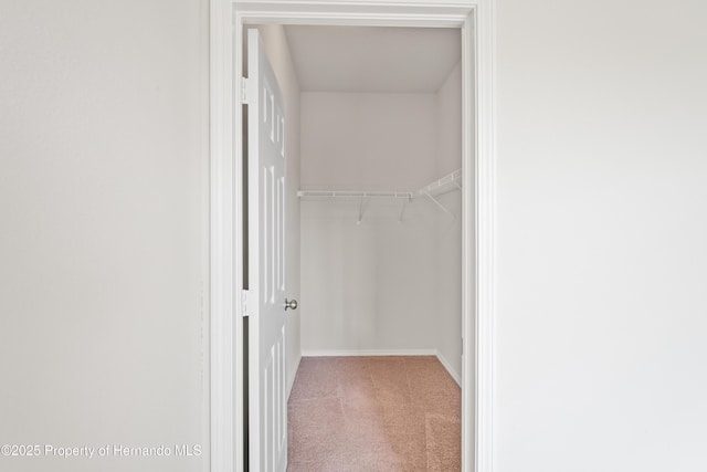 758 Alpine Thistle Dr, Brooksville, FL 34604 - walk in closet featuring carpet