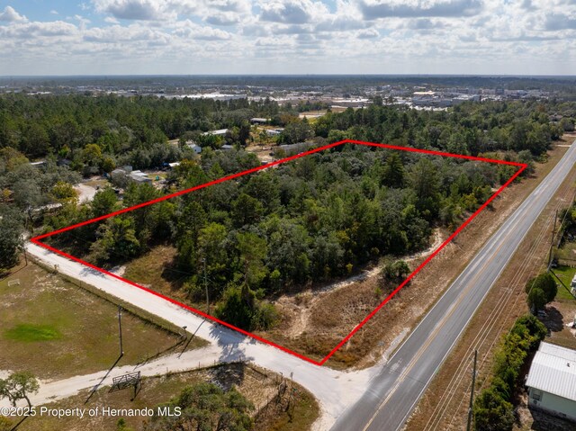 0 Taft St, Brooksville, FL 34613 - photo 4