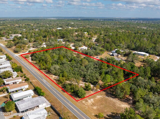 0 Taft St, Brooksville, FL 34613 - photo 5