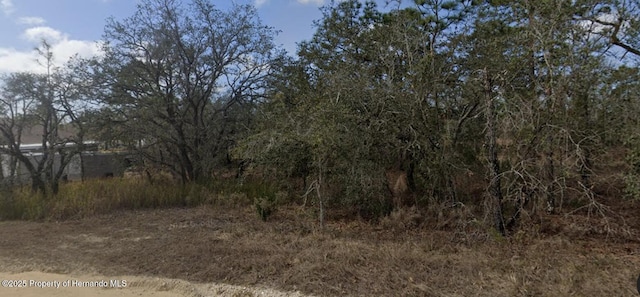 0 Goldeneye Rd, Spring Hill, FL 34614