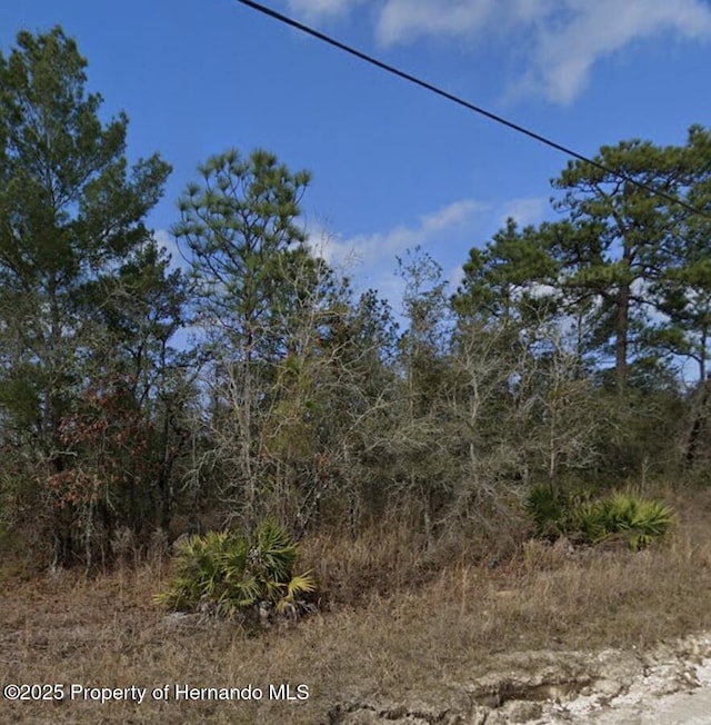 0 Goldeneye Rd, Spring Hill, FL 34614