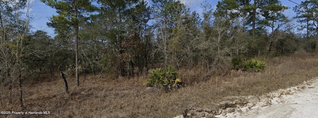 0 Goldeneye Rd, Spring Hill, FL 34614