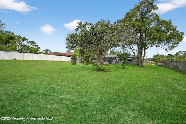 6310 Gainsboro Ave, Spring Hill, FL 34609 - view of yard