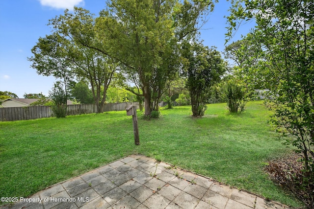 6310 Gainsboro Ave, Spring Hill, FL 34609 - view of yard featuring a patio area