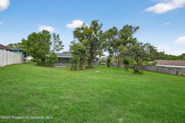 6310 Gainsboro Ave, Spring Hill, FL 34609 - view of yard