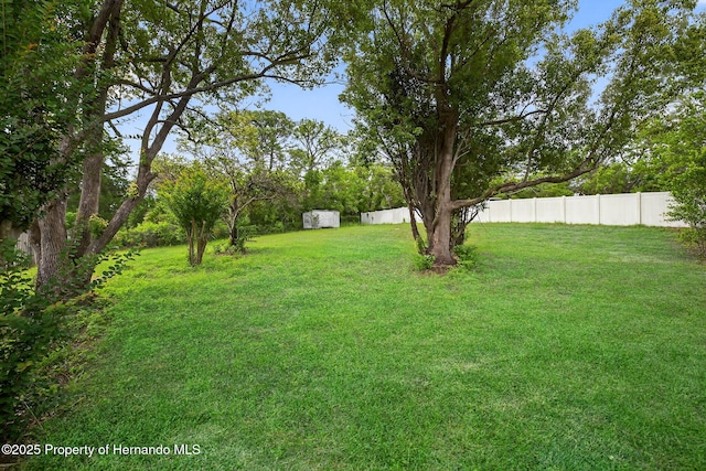 6310 Gainsboro Ave, Spring Hill, FL 34609 - view of yard featuring a storage unit