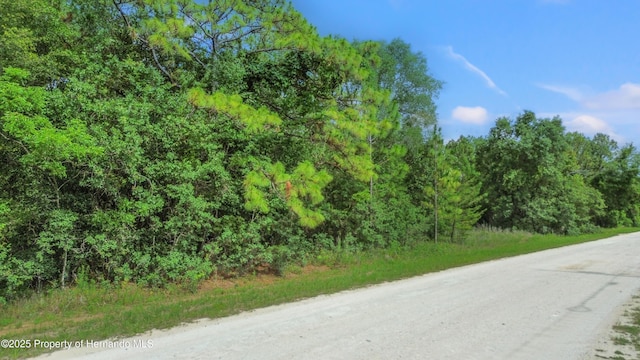 00 Courlan Rd, Brooksville, FL 34614
