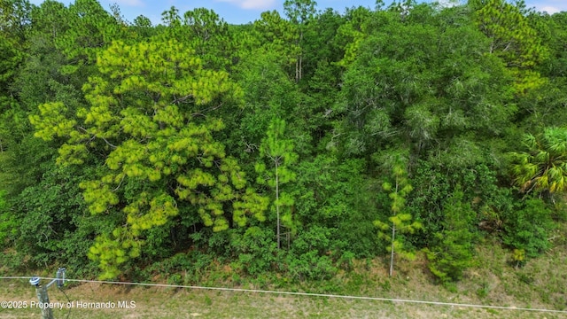 00 Courlan Rd, Brooksville, FL 34614