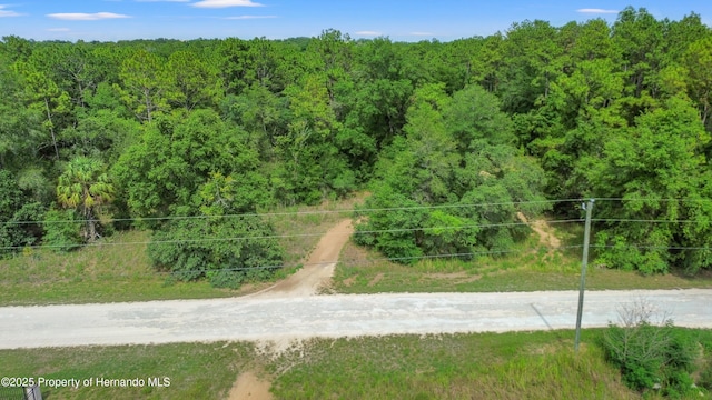 00 Courlan Rd, Brooksville, FL 34614
